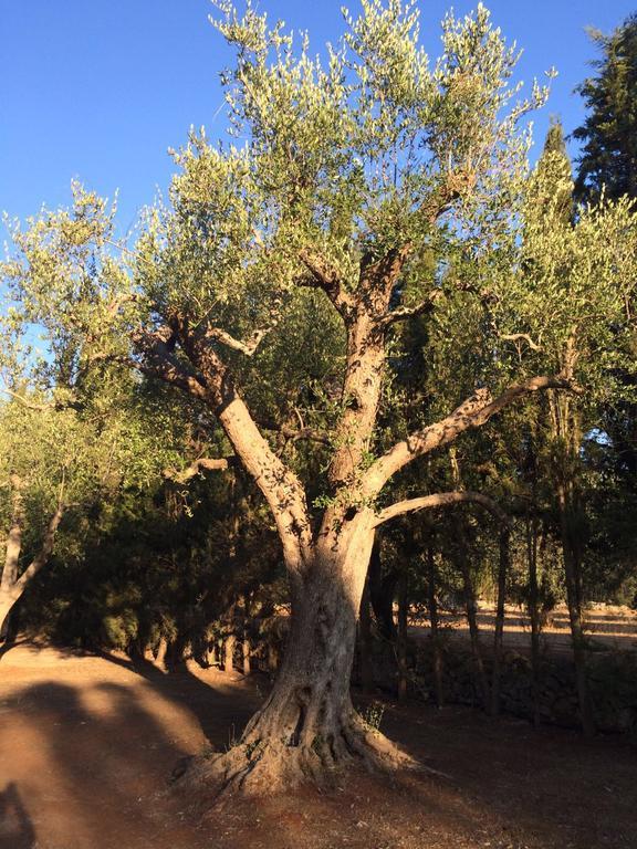 דירות גלטונה Casa Christina מראה חיצוני תמונה